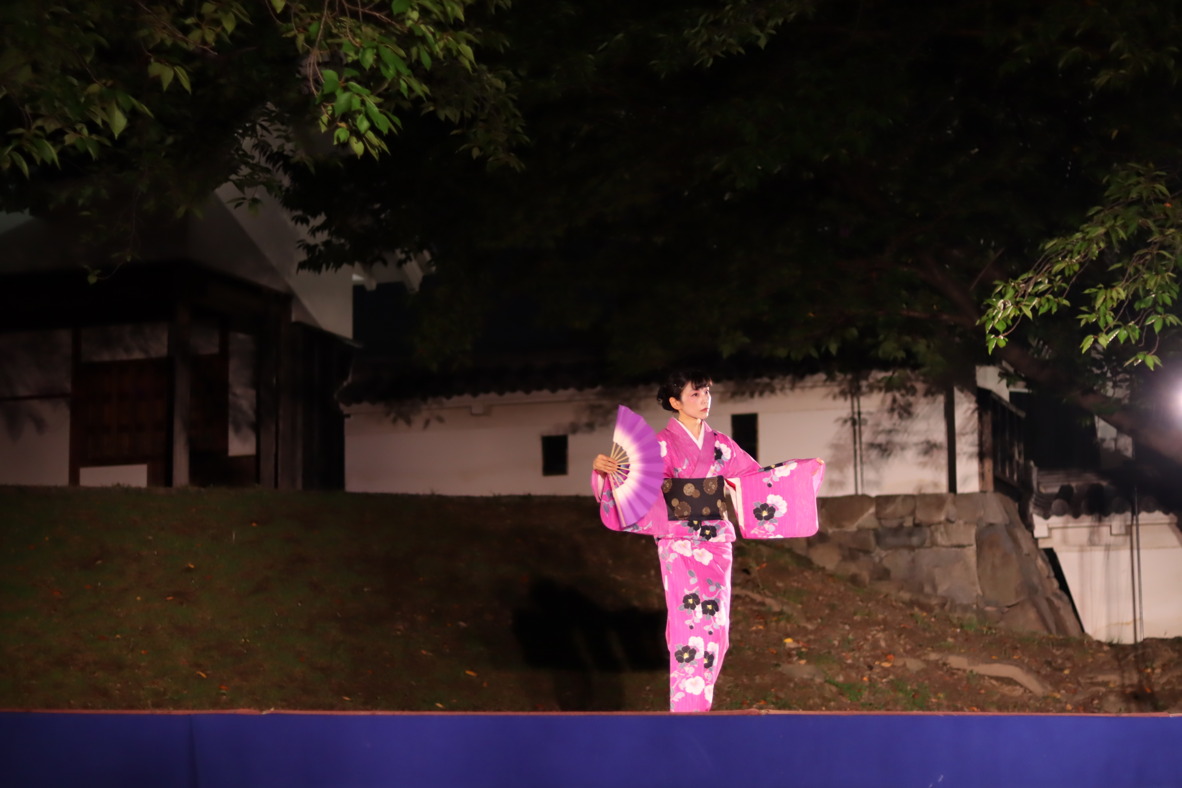 名月の宴の写真（日本舞踊）