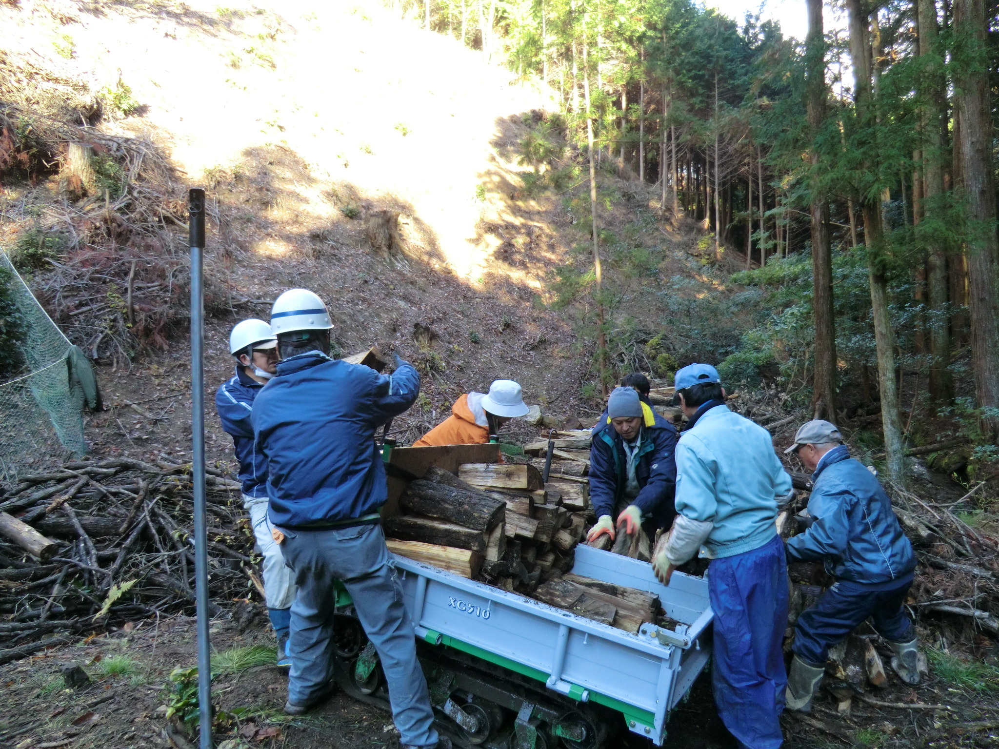 薪の搬出作業の写真