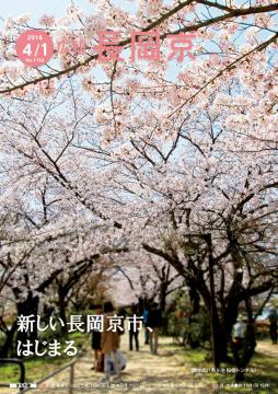 広報長岡京4月1日号表紙写真　桜