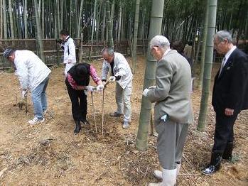 筍堀りの様子