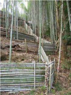 伐採した竹を用いた獣害防護柵の写真