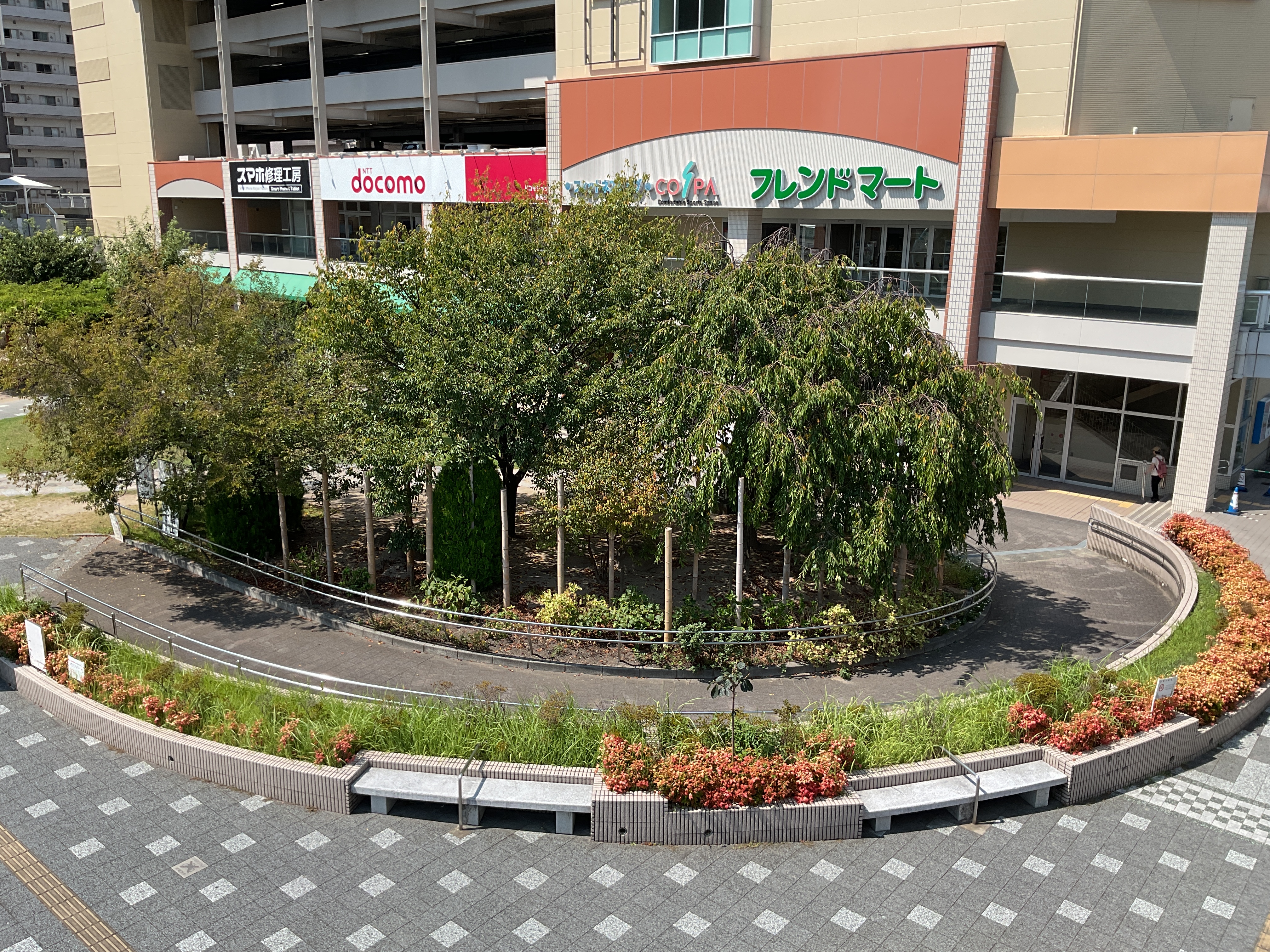 まじわりの広場の樹木写真