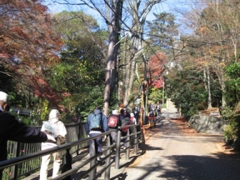 天王山・西山ハイキング