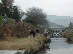 河川清掃活動の写真