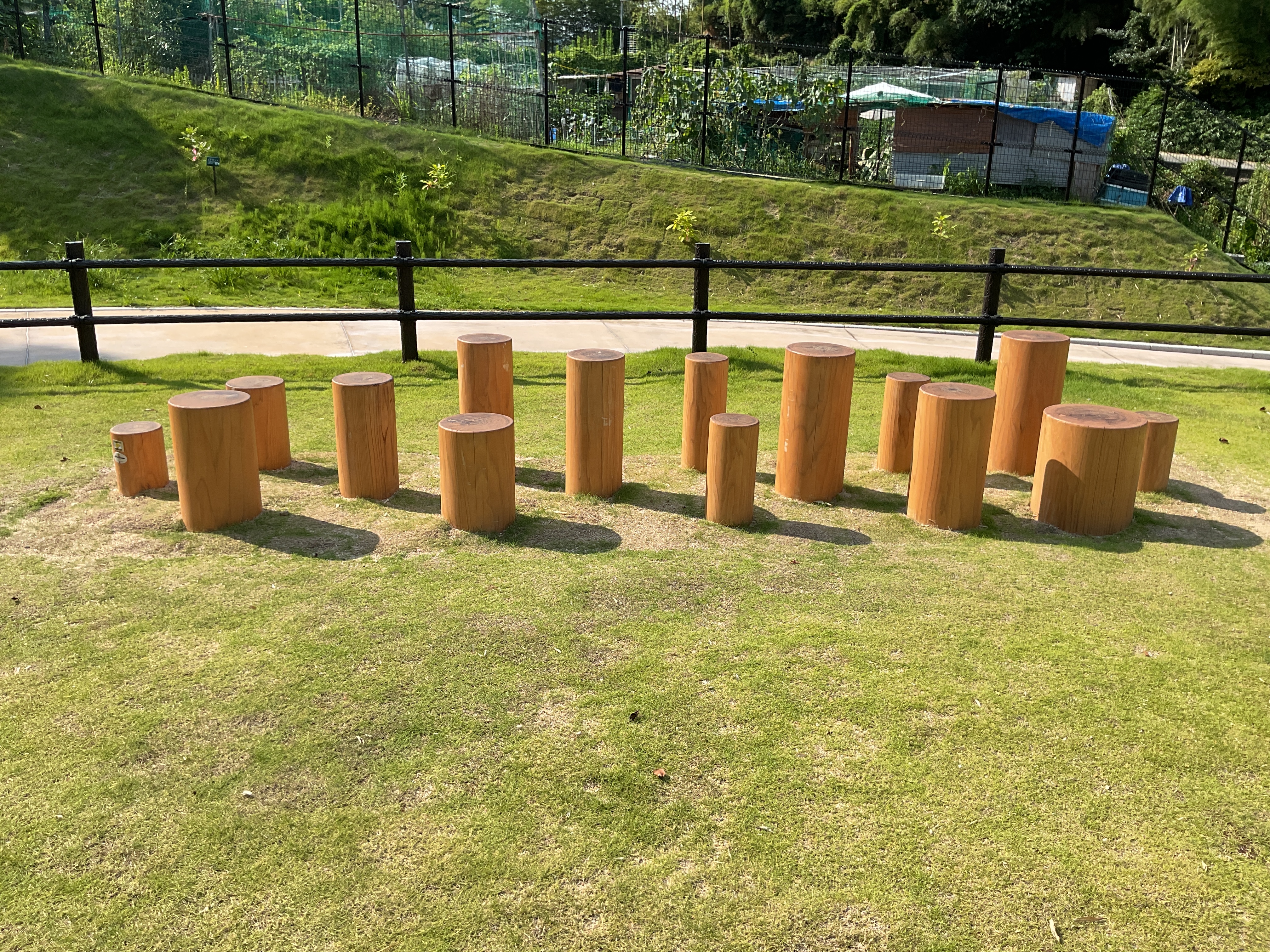 丸太のステップ