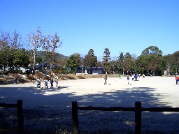 長岡公園の写真