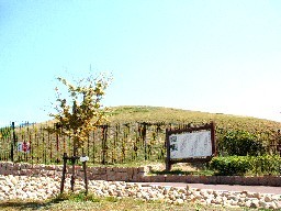 今里大塚古墳公園の写真