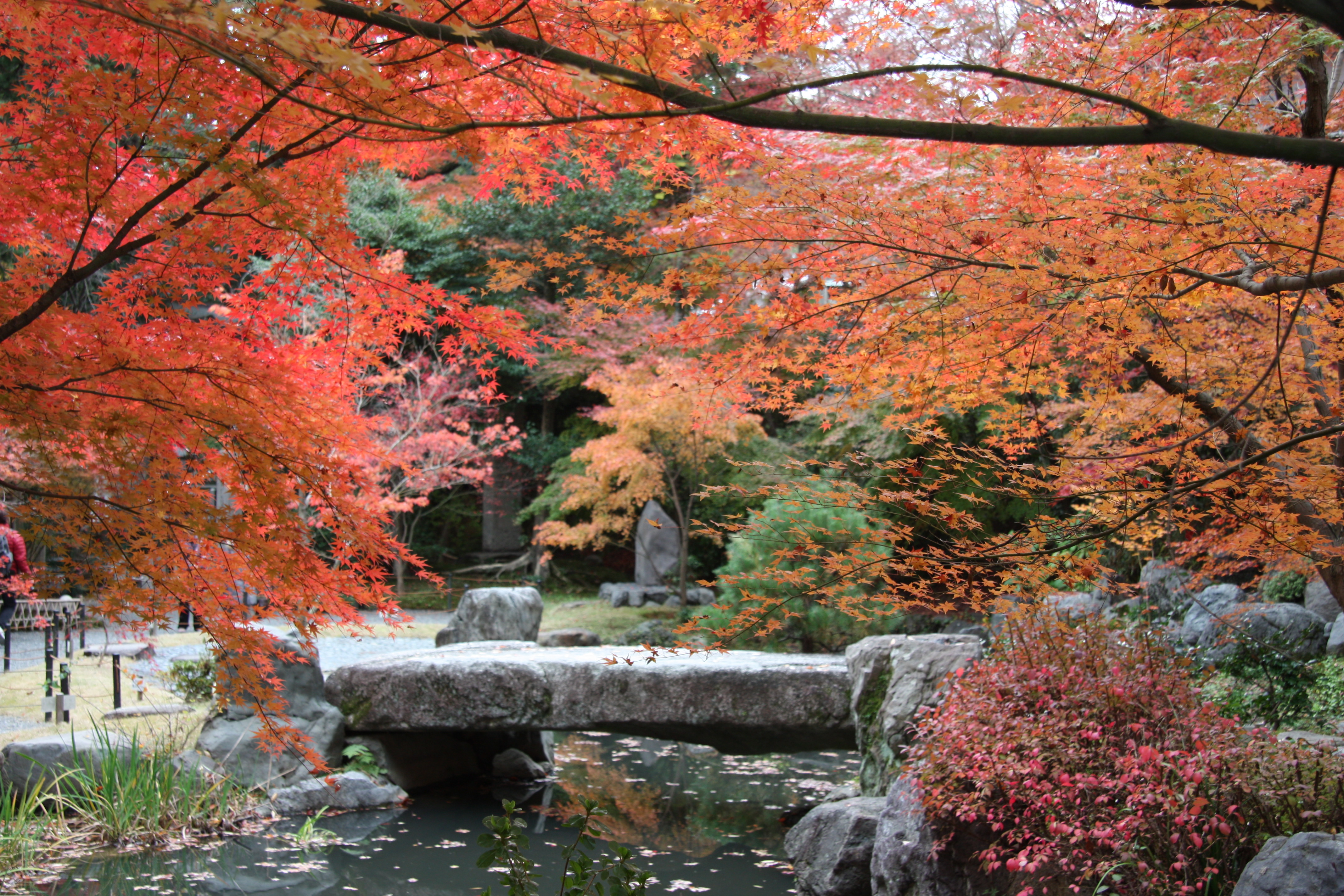 長岡天満宮の紅葉