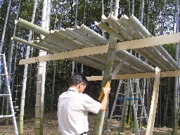 竹小屋の写真