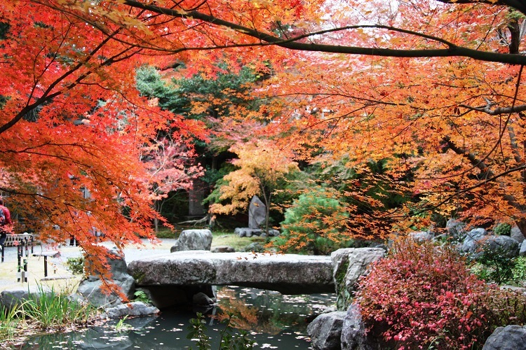 長岡天満宮紅葉の写真