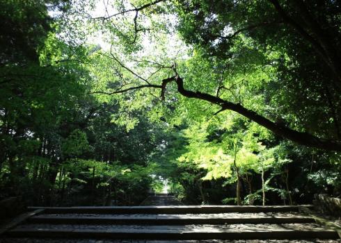 努力賞　青寂の念仏三昧院