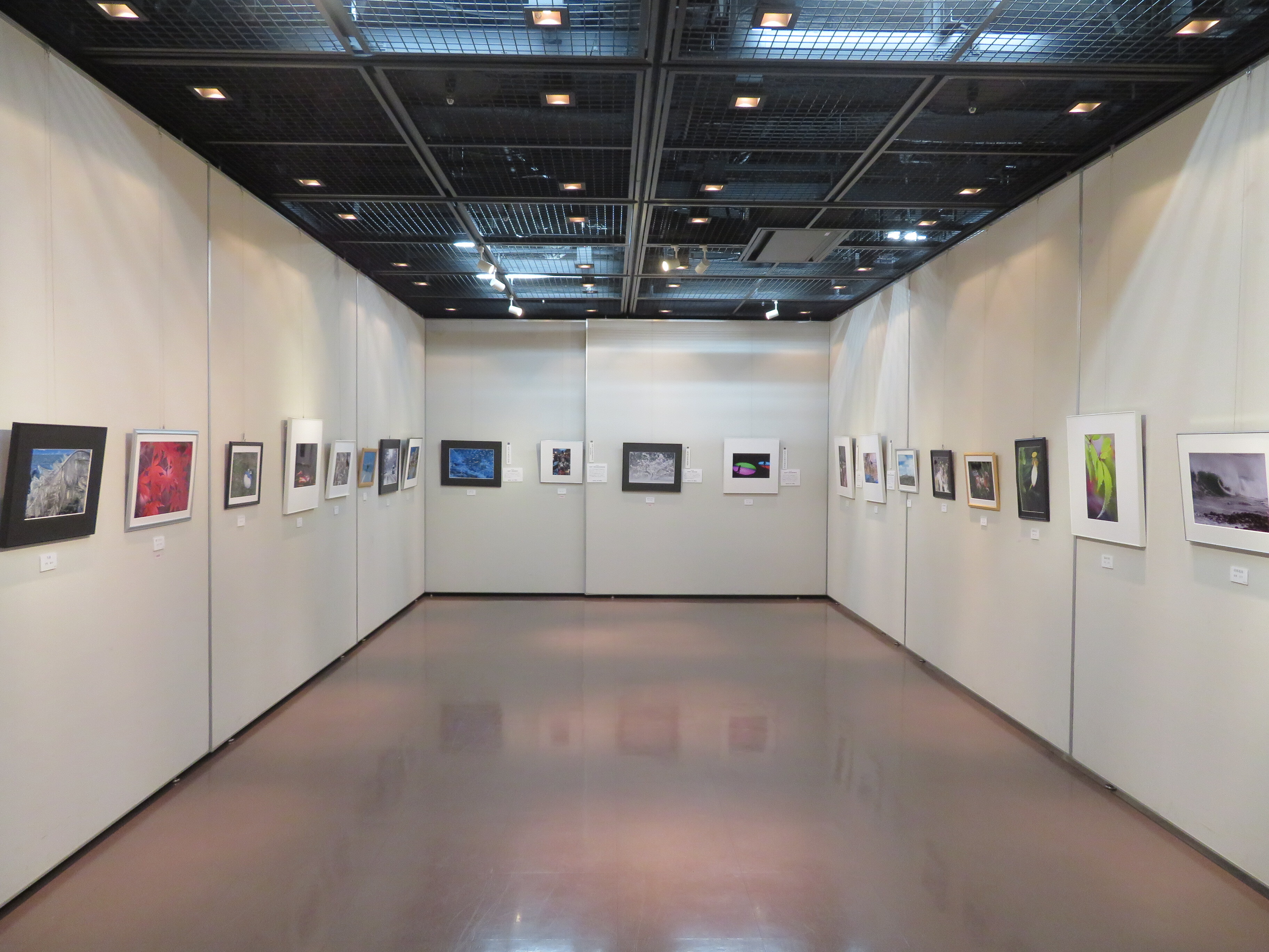 長岡京展絵画展示の写真