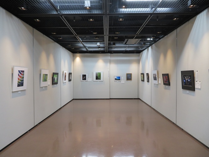 長岡京展絵画展示の写真