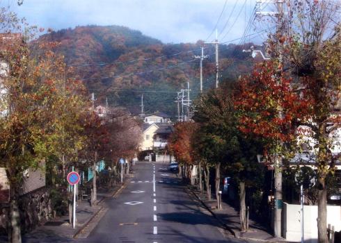 努力賞　秋の西山と街路樹