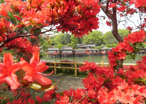 努力賞　長岡京市　五月の頃　花に心よせて