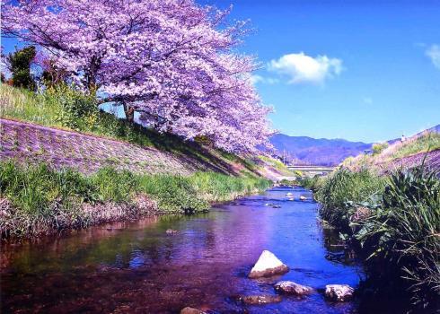 努力賞　小泉川の情景