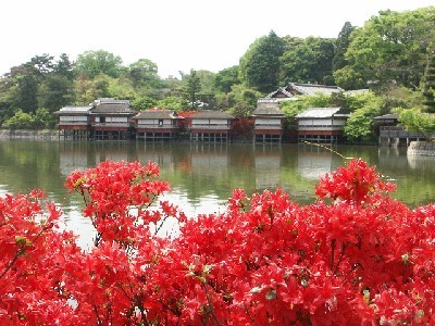 八条ヶ池の写真