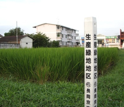 生産緑地地区の写真