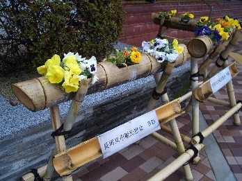 竹のプランターの写真