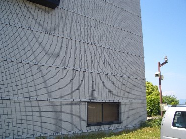 竹模様になっている西山公園体育館壁面の写真