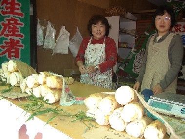 市内のあちこちで見られる農家のたけのこ直売店の写真