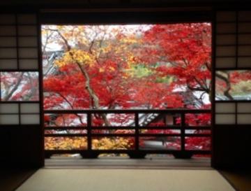 柳谷観音楊谷寺の上書院からの紅葉