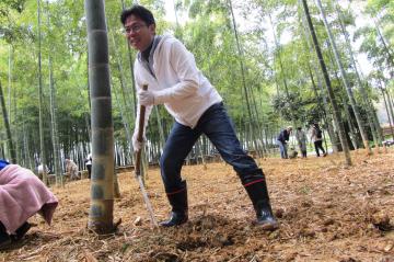 ホリでタケノコを掘る中小路市長