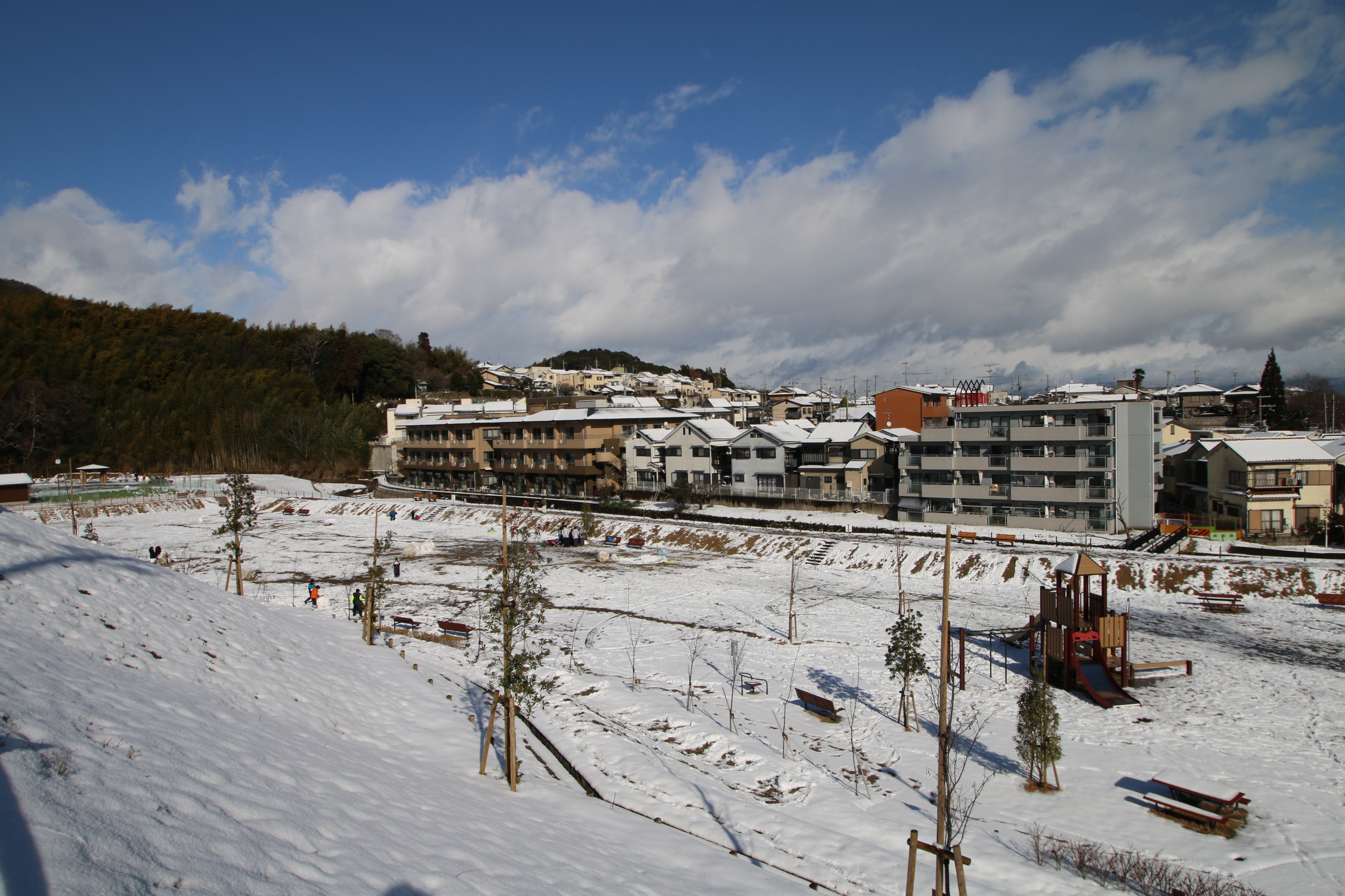 雪の西代里山公園