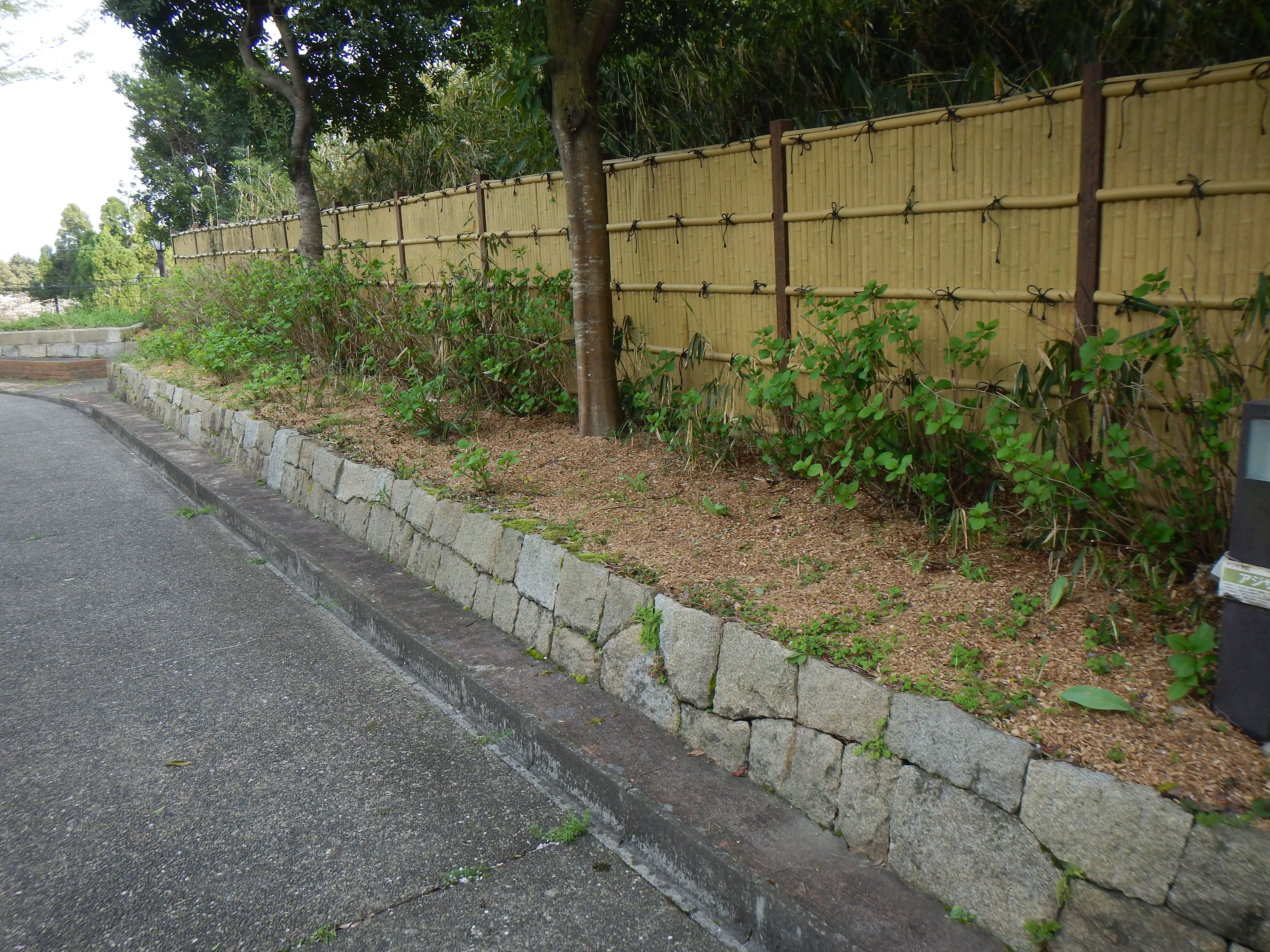 西山公園内の花壇