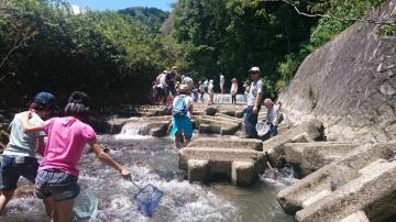 西山ファミリー環境探検隊の写真