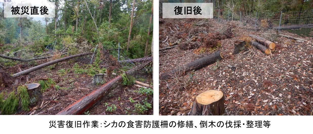 台風被害後の様子