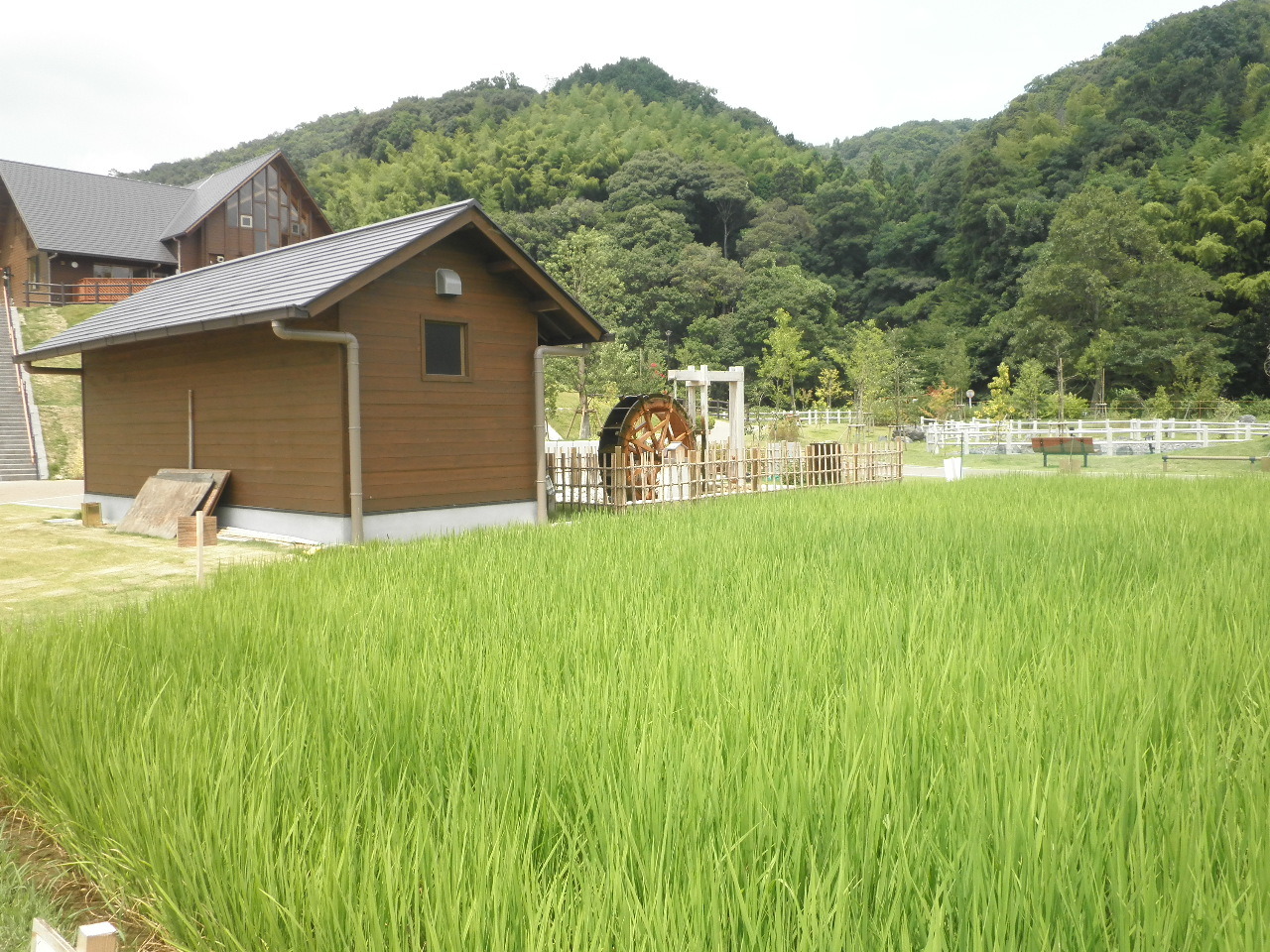 農業体験農園の写真です。