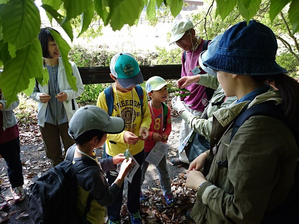 西山ファミリー環境探検隊の写真