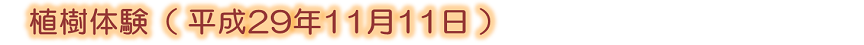 植樹体験（平成29年11月11日）