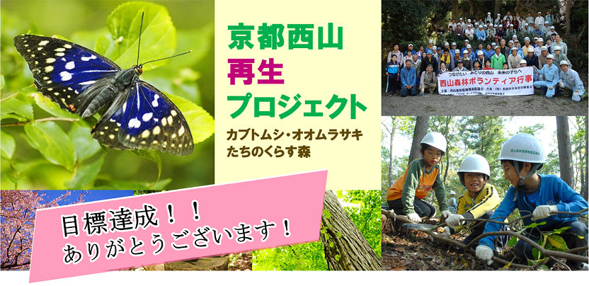 京都西山再生プロジェクト　カブトムシ・オオムラサキたちのくらす森