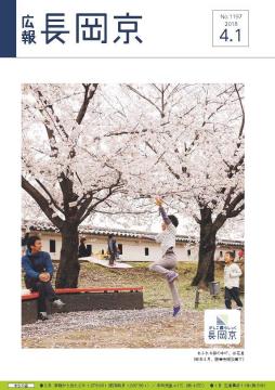 4月1日号の表紙画像。桜舞う勝竜寺城