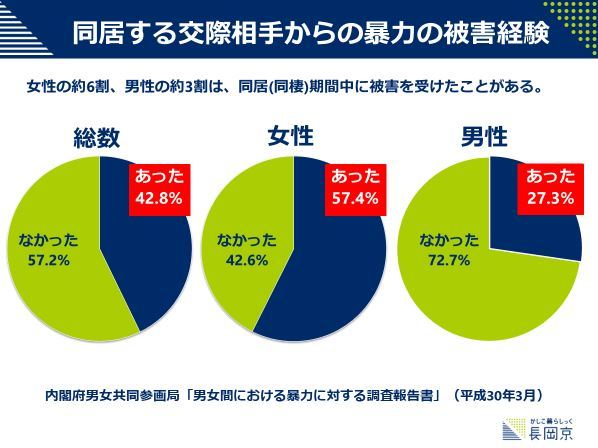 「男女間における暴力に対する調査報告書」（同居期間中）