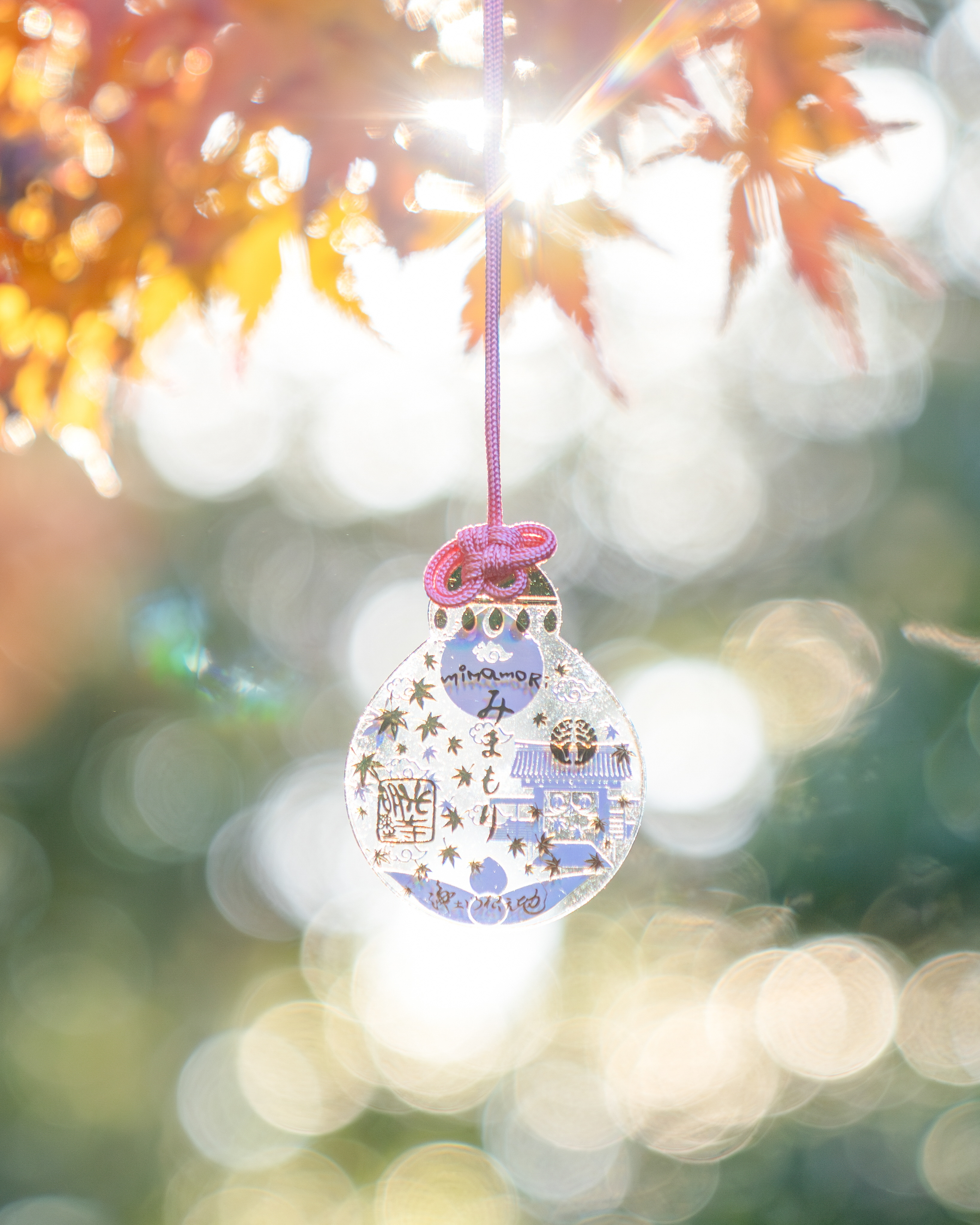 光明寺の限定御朱印