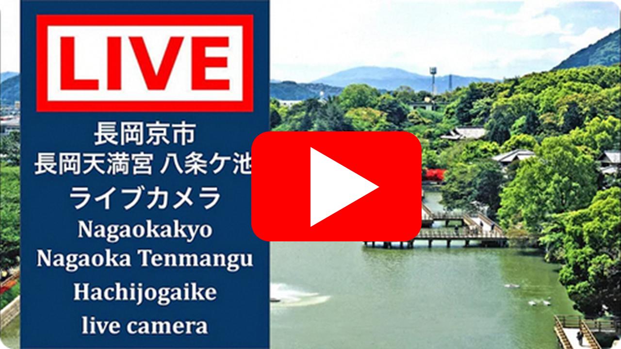 八条ヶ池ライブカメラ