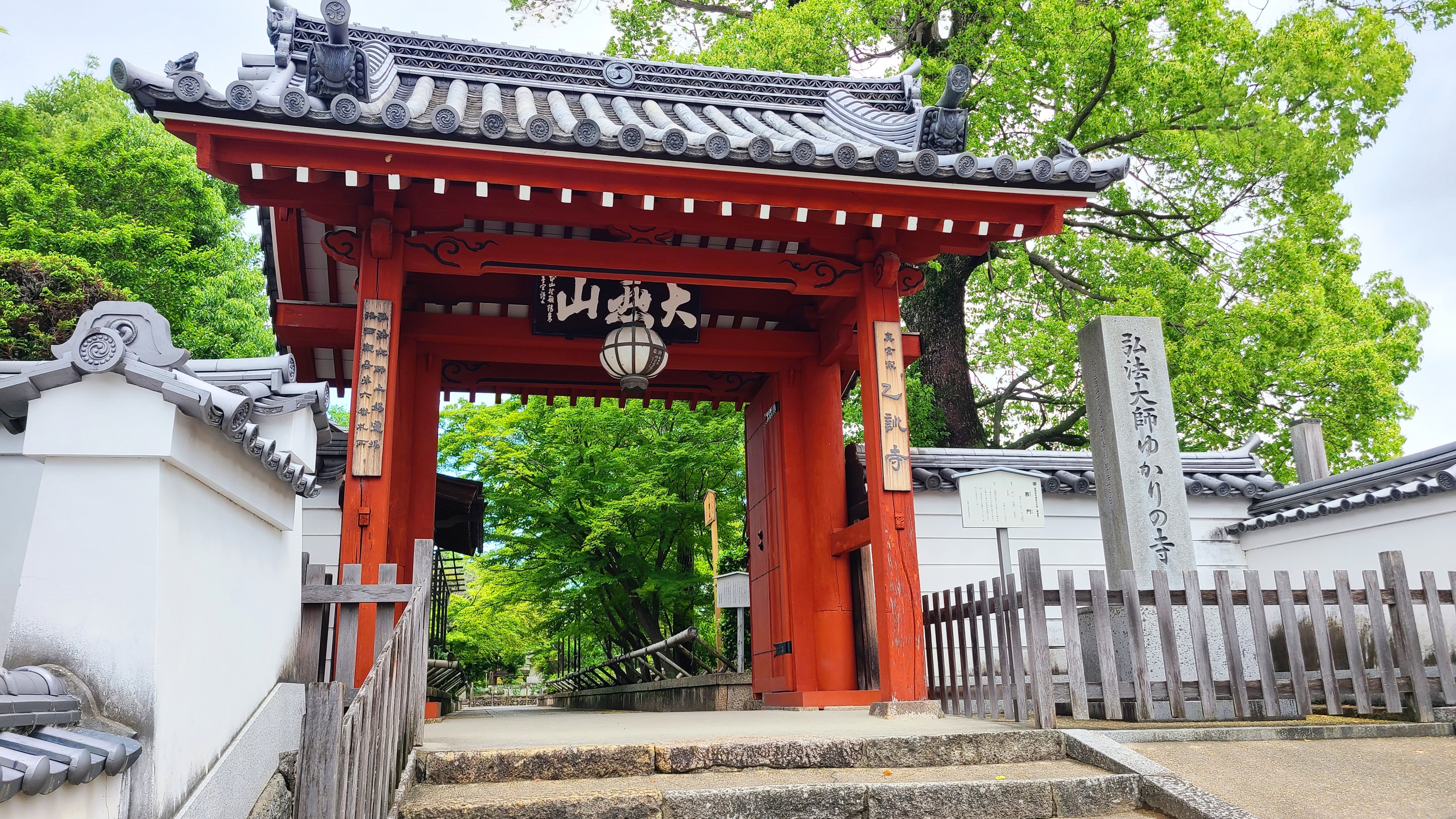 乙訓寺のボタン2