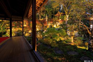 柳谷観音楊谷寺　ライトアップ画像