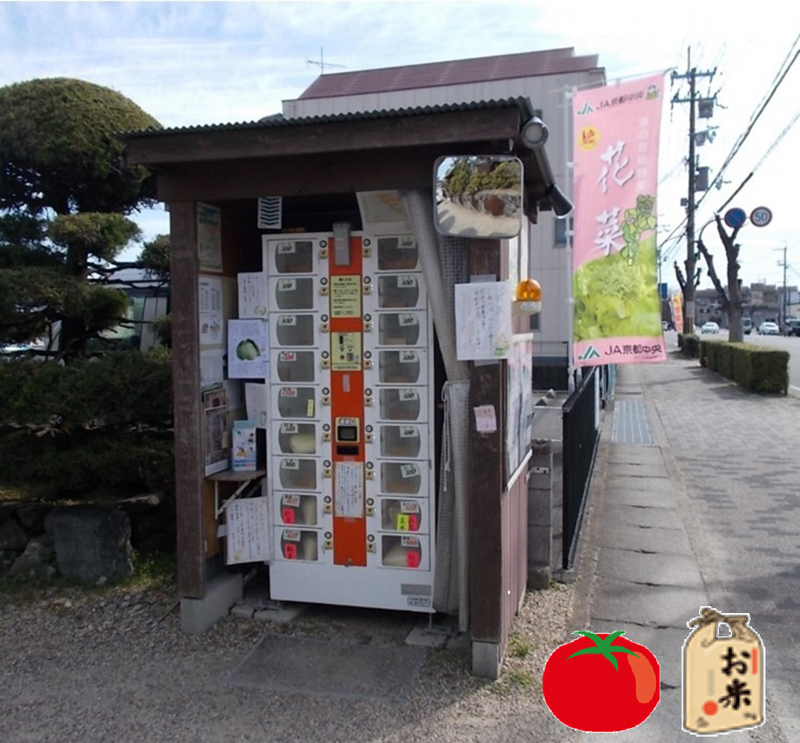 小山今八農園