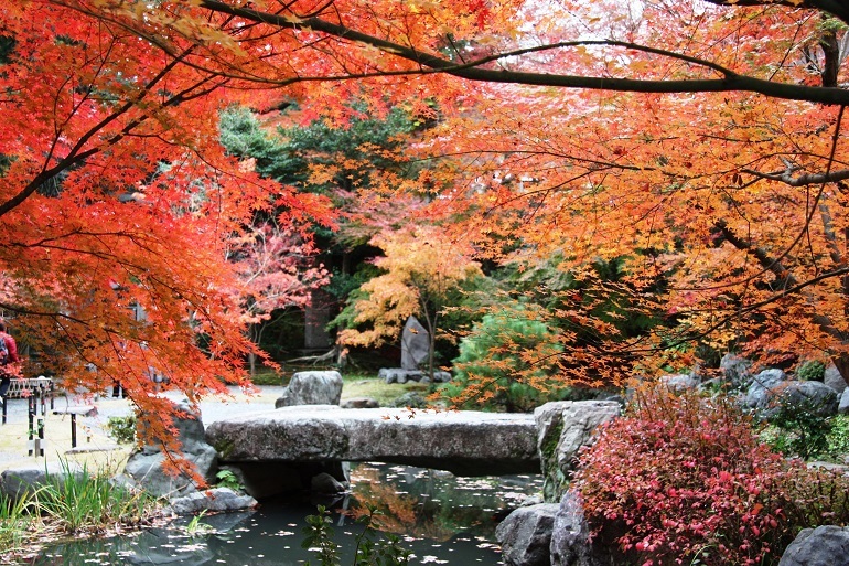 長岡天満宮　紅葉