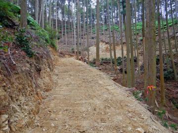 新たに開設した施業路