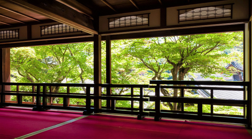 柳谷観音楊谷寺上書院　新緑