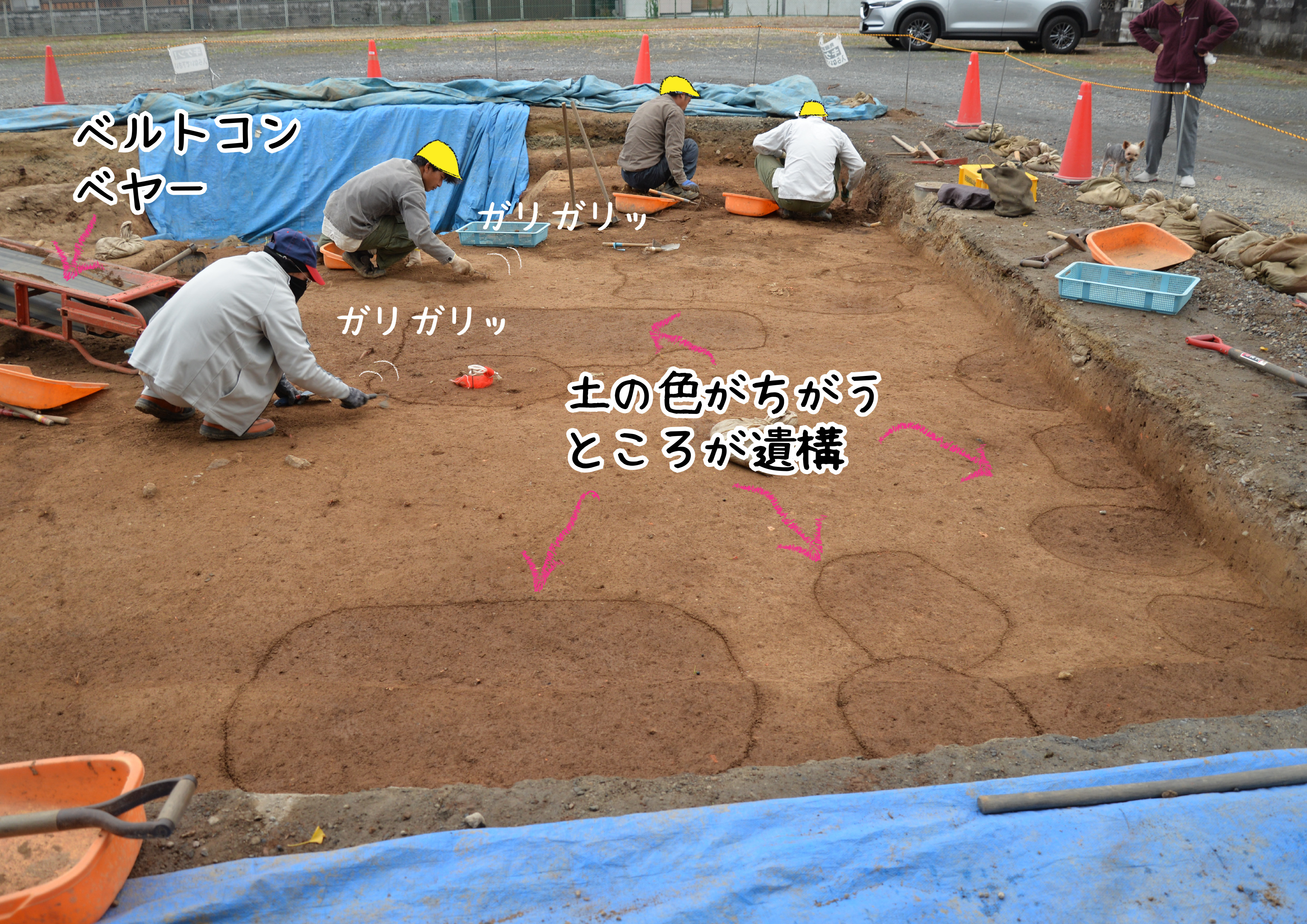 遺構検出のようす