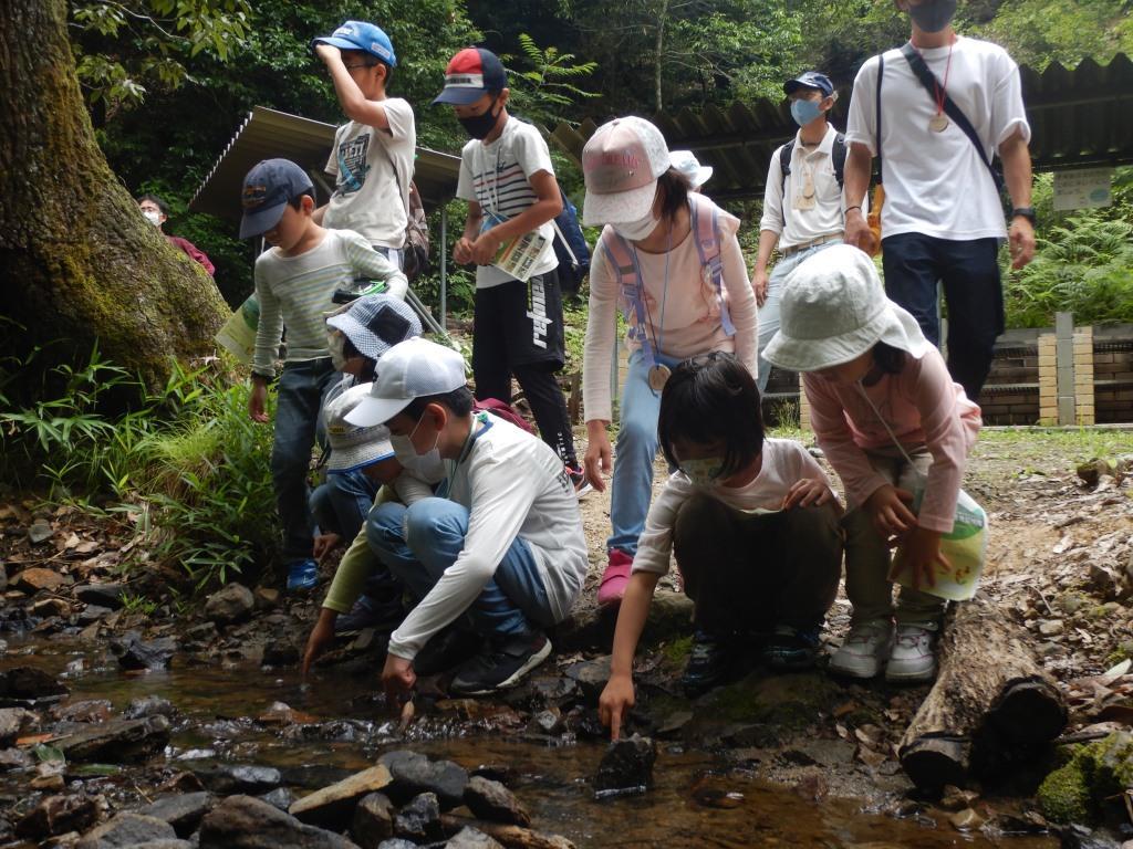 生き物観察