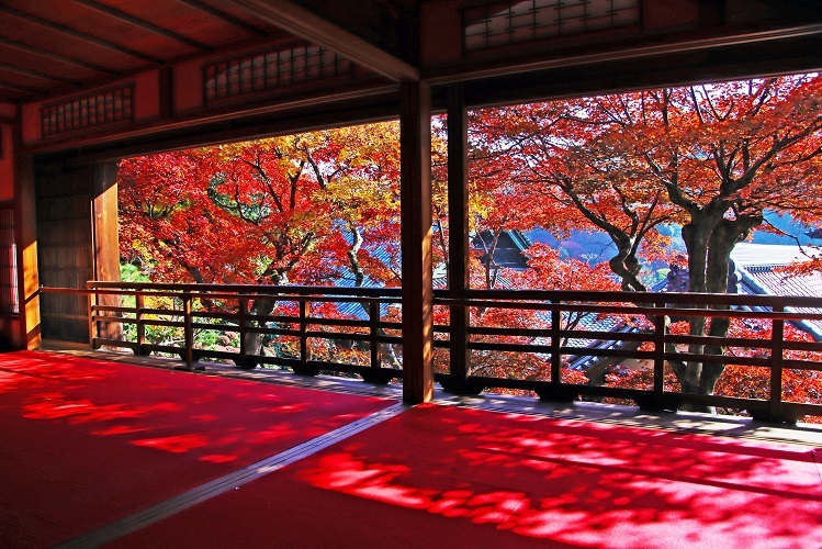 柳谷観音楊谷寺の上書院