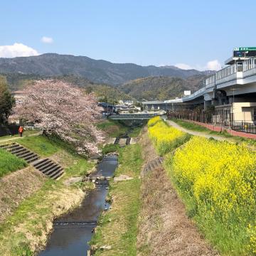 小泉川