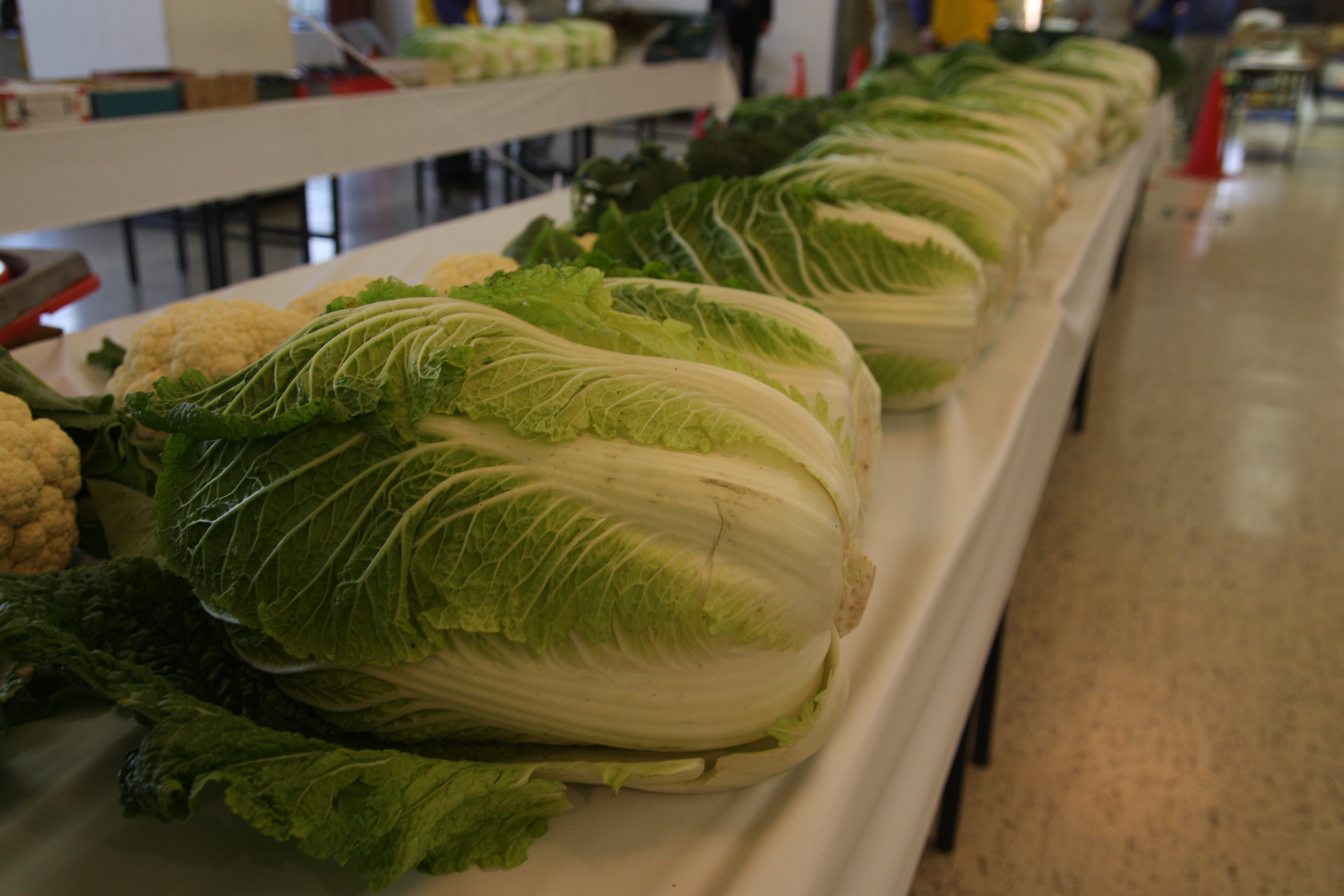 品評会出品野菜の即売